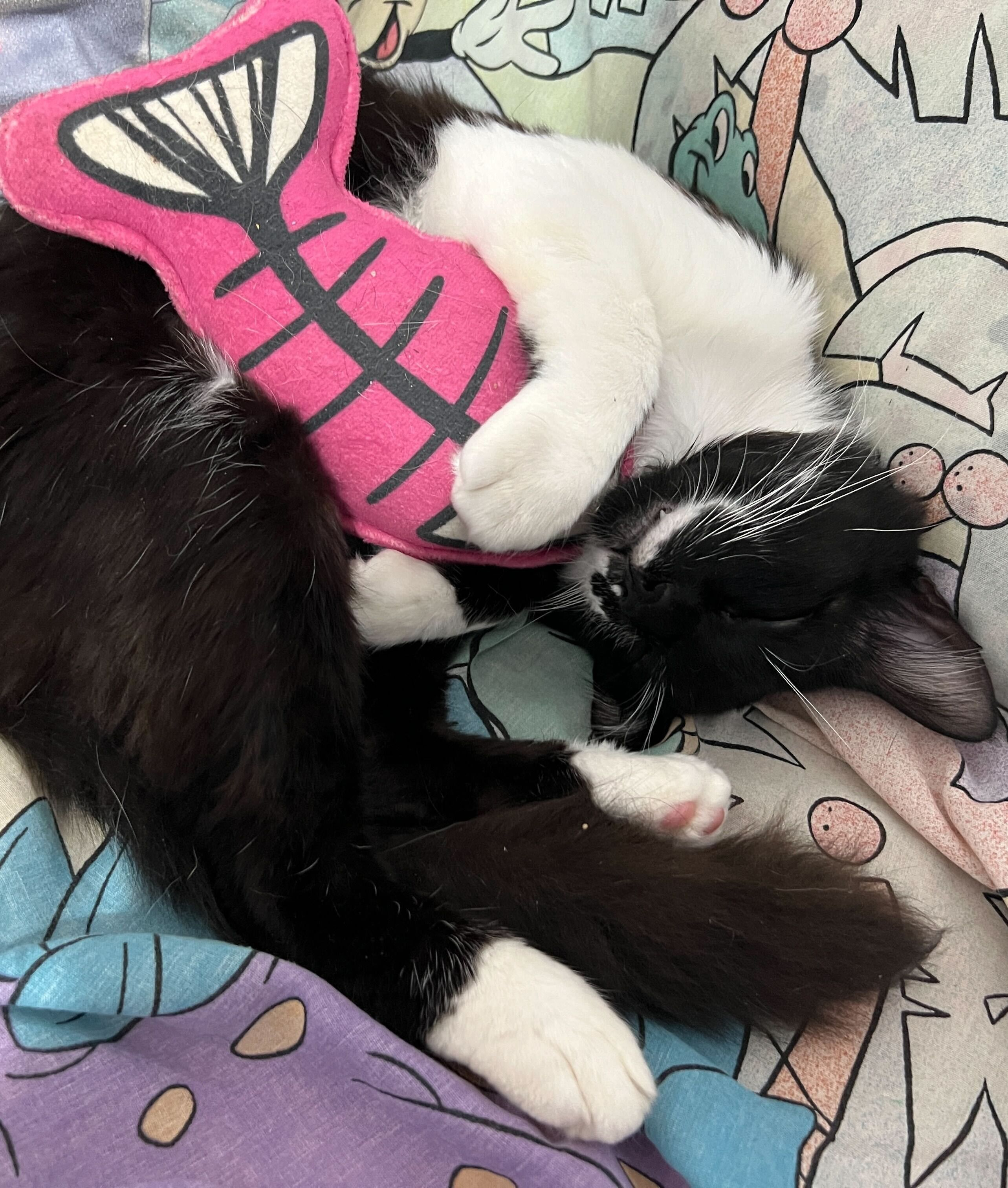 oreo_image