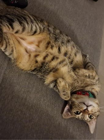 lilly_picture
